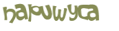 CAPTCHA-haaste