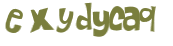 CAPTCHA-haaste
