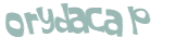 Wyzwanie captcha