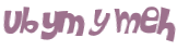 CAPTCHA 挑戰
