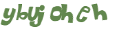 Desafio captcha