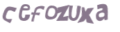 Captcha 챌린지