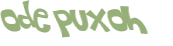 CAPTCHA 挑戰