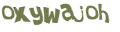Wyzwanie captcha