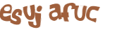 Desafio captcha