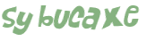 Sfida captcha