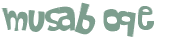 Sfida captcha