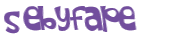 Desafio captcha