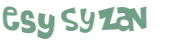 Captcha 챌린지