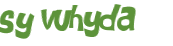 Sfida captcha