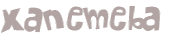 Captcha 챌린지