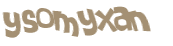 CAPTCHA 挑戰