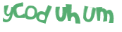 Captcha challenge