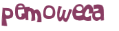 CAPTCHA 挑戰