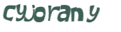 Wyzwanie captcha
