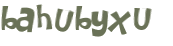 CAPTCHA 挑戰