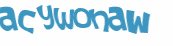 CAPTCHA 挑戰