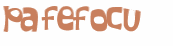 CAPTCHA 挑戰