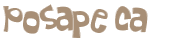 Captcha-test