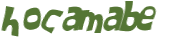 Wyzwanie captcha