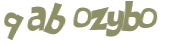 Sfida captcha