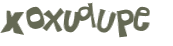 CAPTCHA 挑戰
