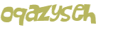 Captcha 챌린지