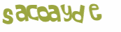 CAPTCHA 挑戰
