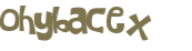 Captcha 챌린지
