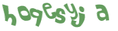 Desafio captcha