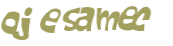 CAPTCHA-haaste