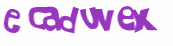 Wyzwanie captcha