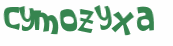 CAPTCHA 挑戰