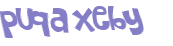 CAPTCHA 挑戰