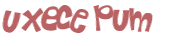 CAPTCHA 挑戰