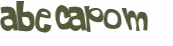 Captcha 챌린지