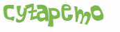 Captcha-Test