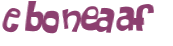 Captcha-test