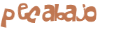 Captcha-Test