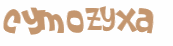 Captcha 챌린지