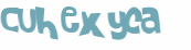 CAPTCHA 挑戰