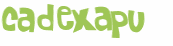 Captcha 챌린지