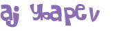 CAPTCHA 挑戰