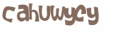 CAPTCHA 挑戰