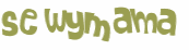 Captcha-test