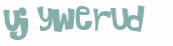 CAPTCHA 挑戰