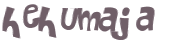 Captchafråga