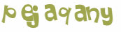 CAPTCHA 挑戰