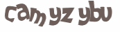 Prueba Captcha