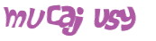 Desafio captcha